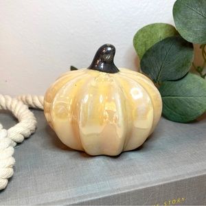 Pumpkin Fall Decor - Cream Ceramic Pumpkin 🎃